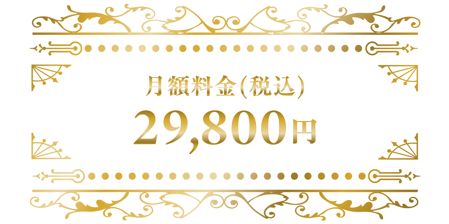 月額料金(税込)29,800円